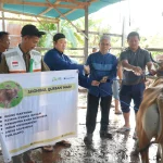 Camat dan Korwasis Madina Salurkan Sapi Kurban untuk Warga Siabu