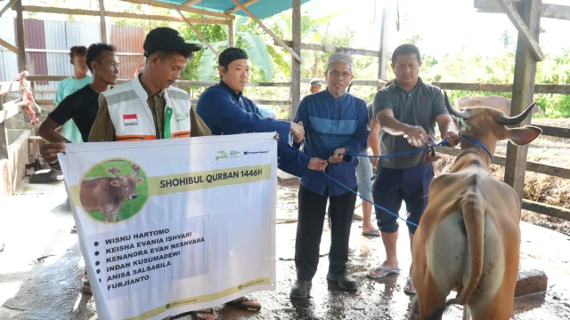 Camat dan Korwasis Madina Salurkan Sapi Kurban untuk Warga Siabu