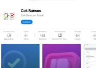 Cara Cek Desil DTSEN 2026 Melalui HP untuk Mengetahui Status Penerima Bansos