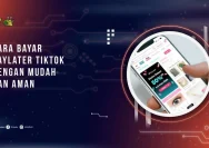 Cara Memunculkan PayLater di TikTok dengan Mudah