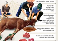 Cara Menyembelih Hewan Kurban Sesuai Syariat Islam