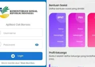 Cek Bansos PKH Tahap 2: Prosedur Pengecekan Bansos PKH dengan Praktis