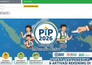 Cek PIP 2026 dengan Mudah: Langkah-langkah Baru untuk Orang Tua