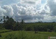 Cuaca Bali Kamis 28 Mei 2026: Cerah Berawan, Waktunya Beraktivitas Luar Ruangan