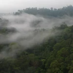 Cuaca Mojokerto Akhir Pekan: Udara Kabur di Prajuritkulon, Berawan di Magersari dan Kranggan