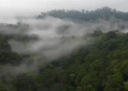 Cuaca Mojokerto Akhir Pekan: Udara Kabur di Prajuritkulon, Berawan di Magersari dan Kranggan