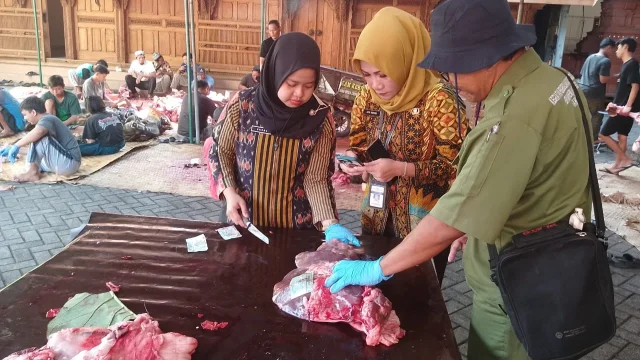 Daging Kurban di Kudus Ditetapkan Aman Meskipun Ditemukan Cacing Hati