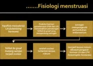 Defisiensi Estrogen: Gejala, Dampak, dan Penanganan yang Perlu Diketahui