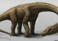 Dinosaurus Raksasa di Asia Tenggara: Penemuan Nagatitan chaiyaphumensis di Thailand