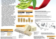 Dolar Naik: Bagaimana Kenaikan Harga Kedelai Berdampak pada Produsen Tempe di Semarang