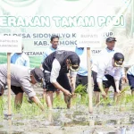 Dua Menteri Tanam Padi di Lamongan untuk Perkuat Lumbung Pangan Nasional
