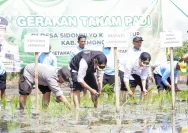 Dua Menteri Tanam Padi di Lamongan untuk Perkuat Lumbung Pangan Nasional