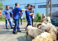 Empat Karyawan PDAM Tirta Jeneberang Gowa Menerima Hadiah Umroh Setelah Pemotongan Hewan Kurban