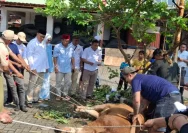 Gerindra Depok: Tradisi Kurban yang Mempererat Kebersamaan dan Kepedulian