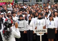 Guru Honorer: Kritik Usulan Pengangkatan Massal Menjadi PNS
