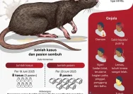 Hantavirus di Indonesia Tidak Menular seperti Kasus MV Hondius
