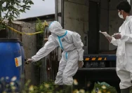 Hantavirus di Jakarta: Ahli Ungkap Kelompok Paling Rentan