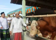 Harga Sapi Kurban di Blora Melonjak, Bupati Arief Rohman: Warga Harus Waspada