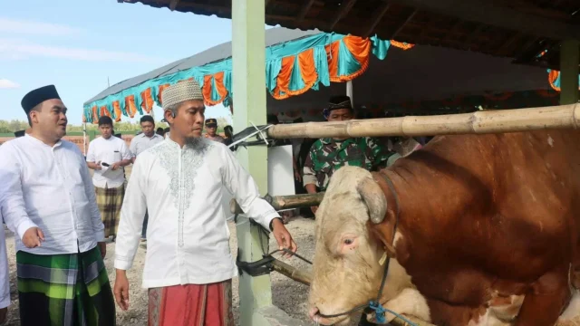 Harga Sapi Kurban di Blora Melonjak, Bupati Arief Rohman: Warga Harus Waspada