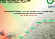 Harga Sawit Hari Ini: Tren Stabil dan Faktor Penopang