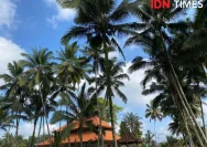 Hari Baik untuk Menanam Kelapa di Bali: Panduan Wariga 28 Mei 2026