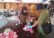 Hari Kedua Iduladha: Dintanpan Rembang Temukan Cacing Hati pada Hewan Kurban