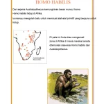 Homo Habilis: Leluhur Manusia atau Bukan Bagian Genus Homo?