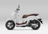 Honda Scoopy terbaru Tembus 58 km/liter, Fitur RoadSync Siap Goyang Pasar Matic 2026