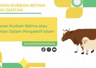 Hukum Kurban Hewan Betina: Sah Atau Harus Jantan?