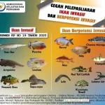 Ikan Invasif: Ancaman Baru bagi Ekosistem Perairan Indonesia di 2026