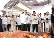 Insan BRILian BRI RO 9 Bandung Bagikan 62 Sapi dan 229 Domba di Idul Adha 1447 H