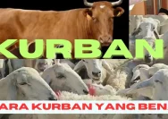 Jangan Salah Kaprah, Kurban Bukan Hanya Bantuan Sosial