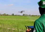 Jawa Tengah Perketat Pengendalian Alih Fungsi Lahan Sawah untuk Meningkatkan Produksi Pangan