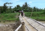 Jembatan Bambu Doksari Boyolali Nyaris Ambruk, Warga Membangun Jembatan Darurat
