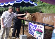 JNE dan TIKI Kurban 30 Ekor Sapi dengan Besek Ramah Lingkungan Sambut Idul Adha 1447 H