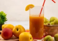 Jus Alami: Solusi Efektif untuk Menjaga Kesehatan Ginjal Anda