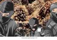Kasus Pencurian TBS di Kebun Rambutan Masih Berlanjut