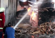 Kebakaran Pabrik Kayu di Kranggan, Temanggung Rugi Rp2 Miliar Tanpa Korban Jiwa