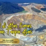 Kekayaan Tanah Papua: Emas Hitam dan Paradoks Kemakmuran Timur