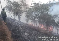 Kemarau Panjang Mengintai, Garut Siap Hadapi Ancaman Kebakaran dan Krisis Air