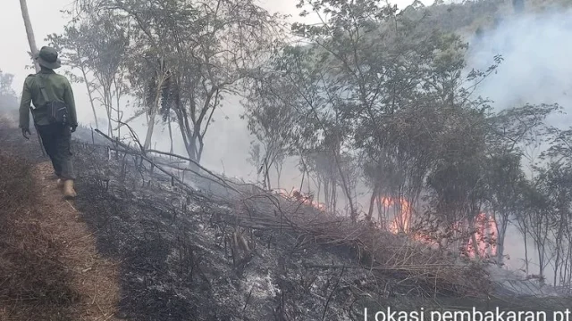 Kemarau Panjang Mengintai, Garut Siap Hadapi Ancaman Kebakaran dan Krisis Air