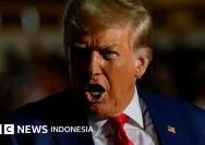 Kerbau Albino Berambut Pirang Mirip Donald Trump Viral di Bangladesh