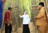 Khofifah Tinjau Antrean Tebu di PG Ngadirejo, Akselerasi Swasembada Gula di Jatim