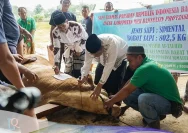 Kompak Berqurban, ASN Sungai Penuh Sembelih 35 Sapi Bersama