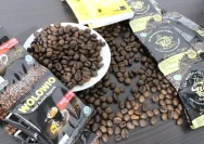 Kopi Bukan Solusi Utama untuk Mengatasi Lelah