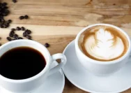 Kopi Hitam atau Kopi Susu: Mana yang Lebih Sehat untuk Dikonsumsi?