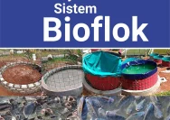 Kudus Terus Mendorong Program Budidaya Ikan Sistem Bioflok