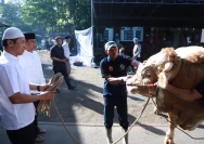 Kurban Iduladha di Masjid Masholihul Ummah: Ratusan Panitia Mengerahkan Tenaga