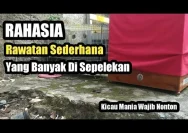 Lagu Kicau Mania: Kisah Sederhana yang Menjadi Fenomena Nasional