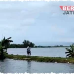 Lumpur Banjir Mengancam Sawah di Jawa Tengah: Sekda Jateng Janji Perbaikan Segera